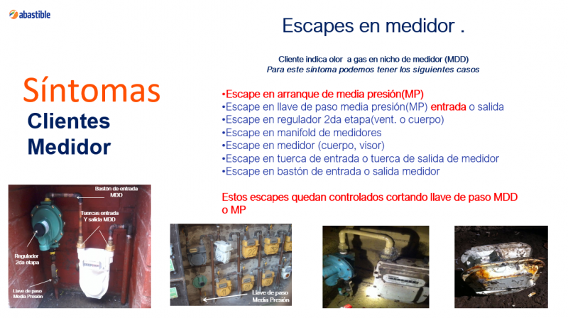 Archivo:Sne productos17.PNG
