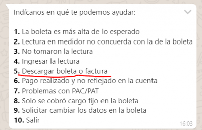 Wsp boleta.PNG