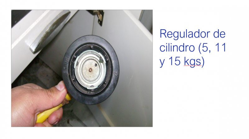 Archivo:Sne productos6.PNG