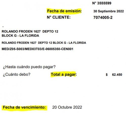 Detboleta1.JPG