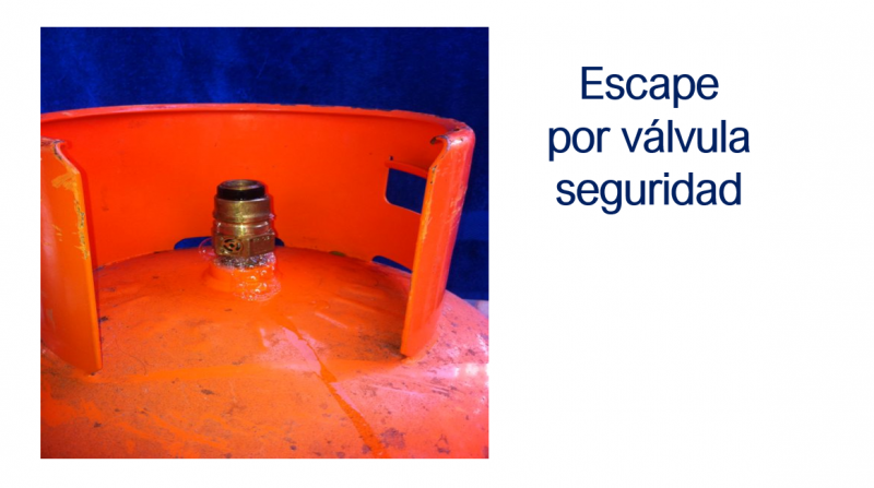 Archivo:Sne productos10.PNG