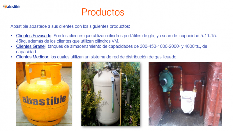 Archivo:Sne productos1.PNG