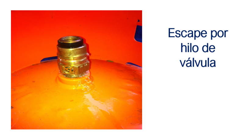 Archivo:Sne productos9.PNG