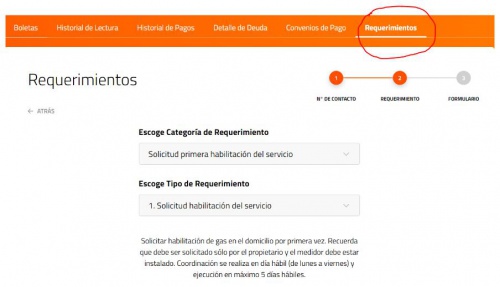 Gasinicial5.JPG