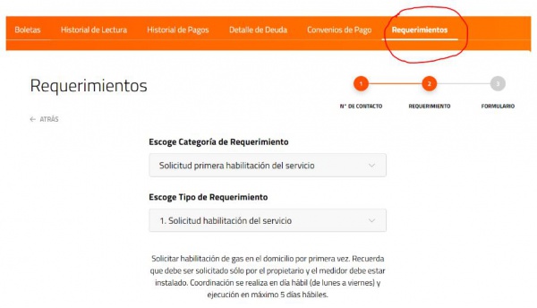 Gasinicial5.JPG