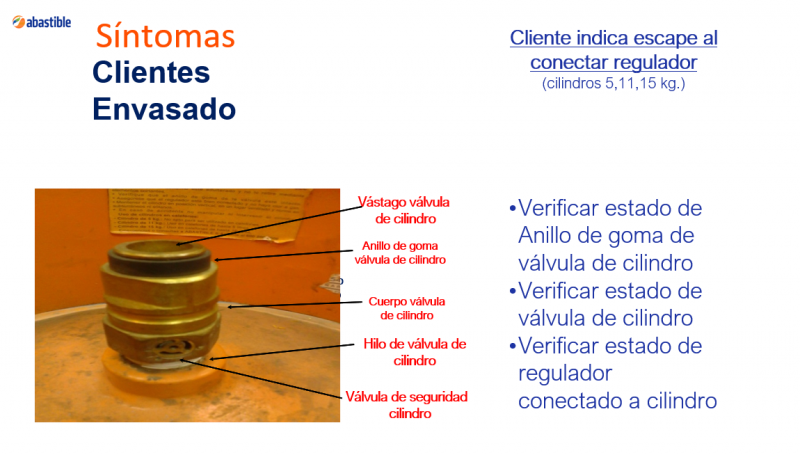 Archivo:Sne productos3.PNG