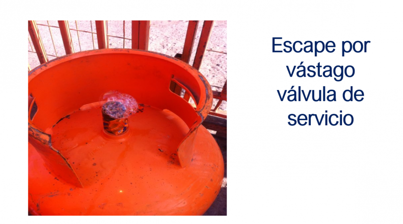 Archivo:Sne productos8.PNG