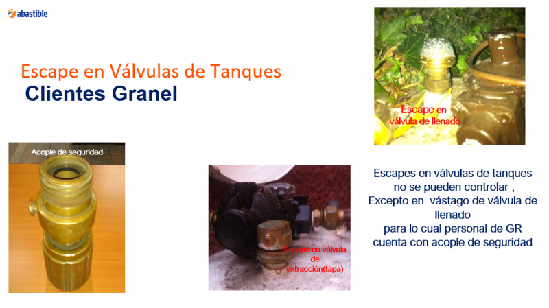 Archivo:Sne productos21.PNG