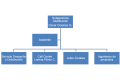 Organigrama SDI.png