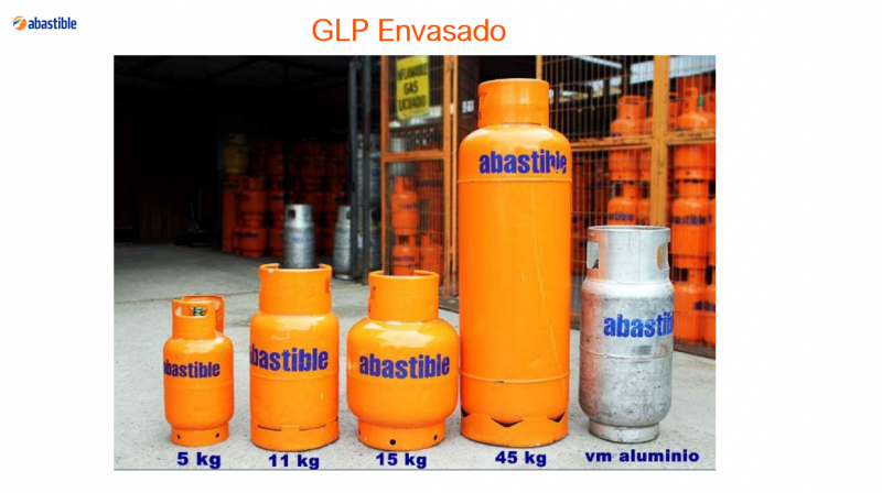 Archivo:Sne productos2.PNG