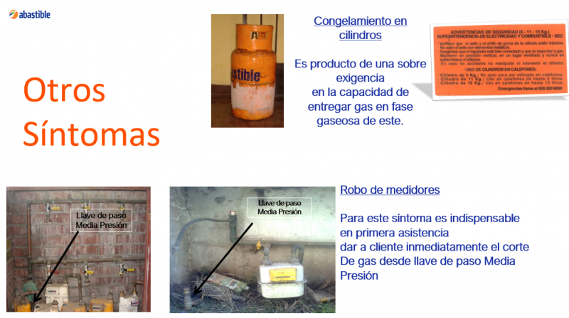 Archivo:Sne productos24.PNG