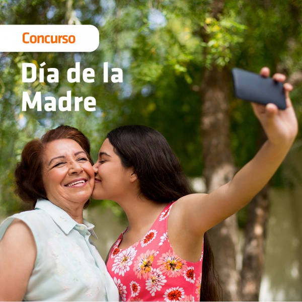 Archivo:Diadelamadrefb.jpg