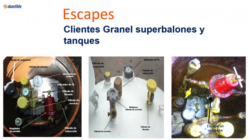 Archivo:Sne productos20.PNG